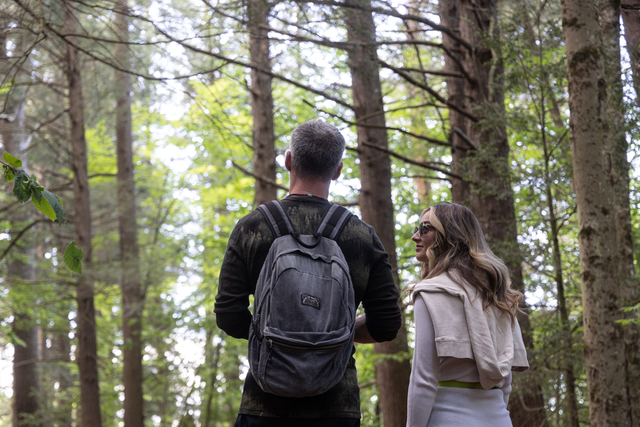 spiritual guidance session in the berkshires and online